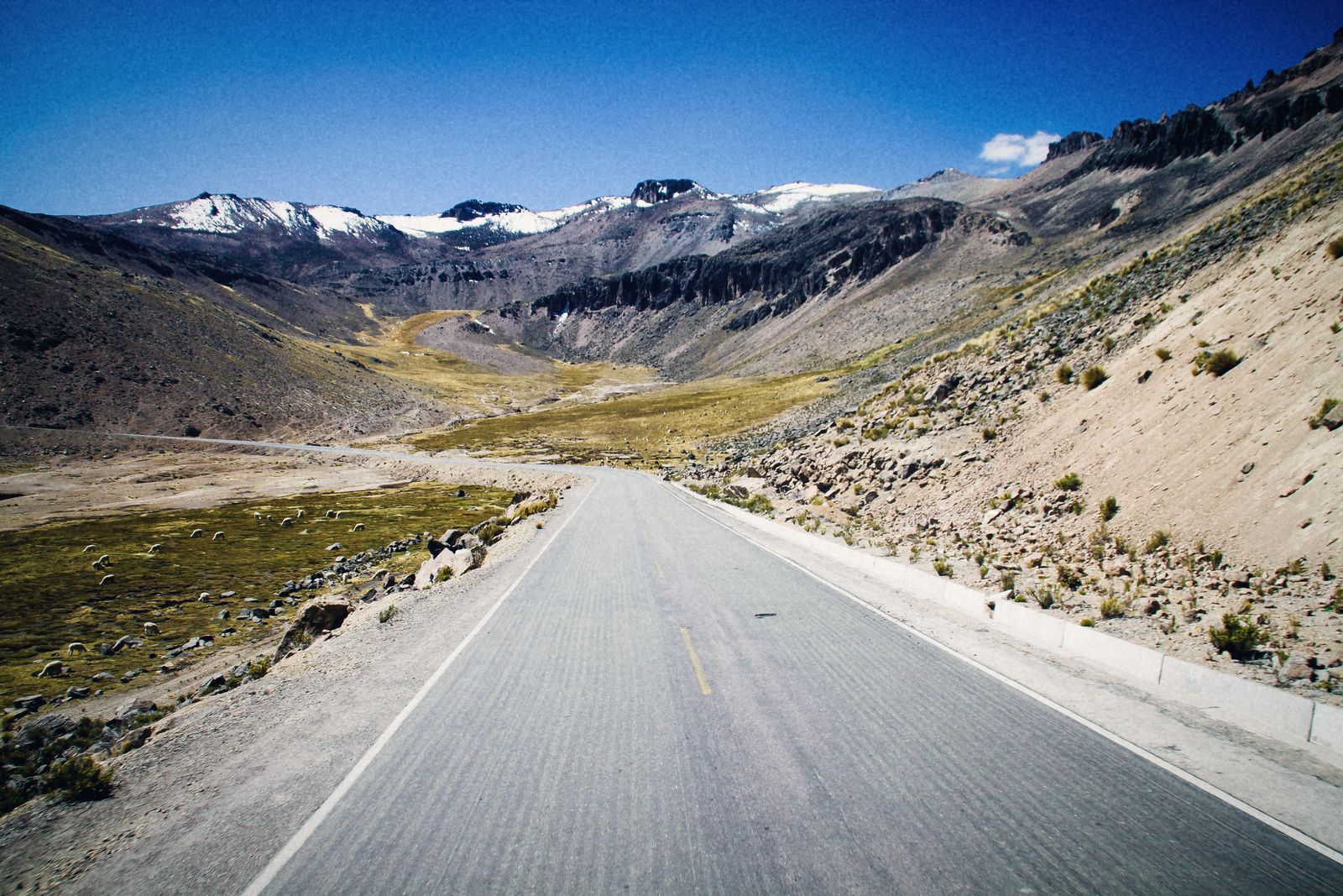 Carretera asfaltada que sube entre cerros de puna hacia nevados