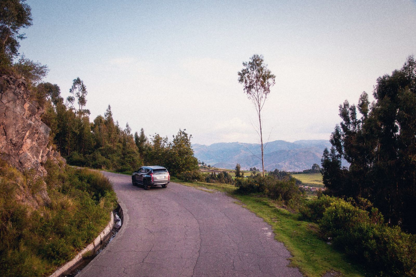 Carretera de sierra en curva entre eucaliptos, con un valle y cerros al fondo